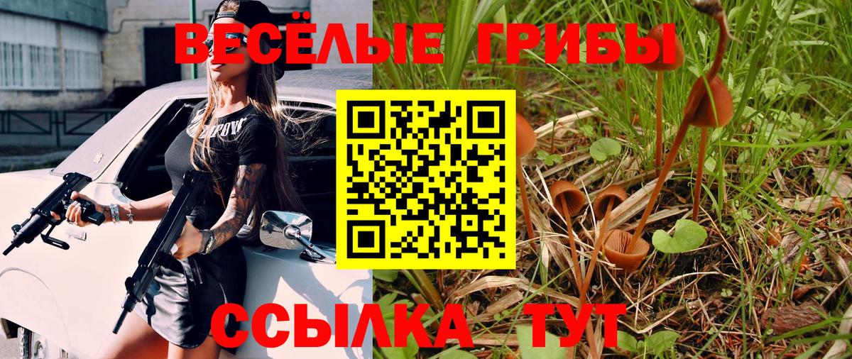 Галлюциногенные грибы Psilocybe  Вход с VPN  Черемхово 