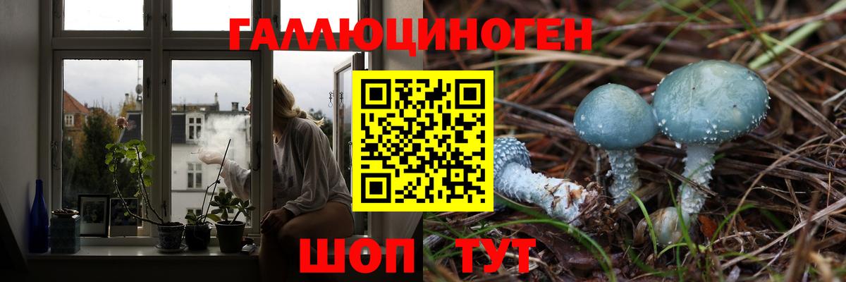 Галлюциногенные грибы Psilocybine cubensis Черемхово
